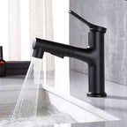 Contemporary Sink Faucet Plian Low Arc Center-Set Bathroom Faucet