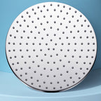 Metal Shower Head Combo Contemporary Round Fixed Shower Head for the Bathroom