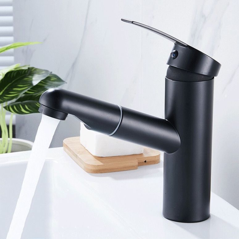 Contemporary Style Faucets Single Handle Swivel Spout Faucets