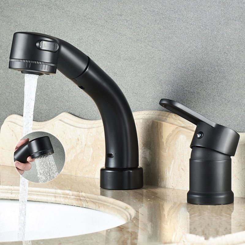 Modern Style Sink Faucet Copper Handle Low Arc Pull-Out Sink Faucet