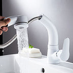 Vessel Sink Bathroom Faucet with Swiveling Spout Single Lever Faucet with Pull-Out Spray