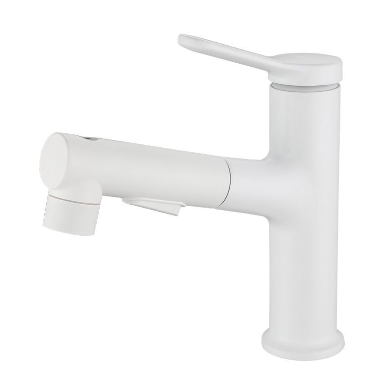 Modern Extendable Sink Faucet Bathroom Faucet Brass 1 Handle Sink Faucet with Water Hose