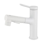 Modern Extendable Sink Faucet Bathroom Faucet Brass 1 Handle Sink Faucet with Water Hose