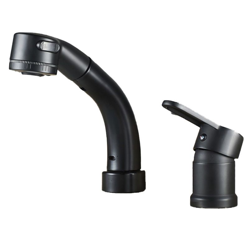 Modern Style Sink Faucet Copper Handle Low Arc Pull-Out Sink Faucet