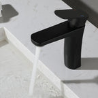 Square 1-Handle Basin Faucet 1 Hole Basin Faucet