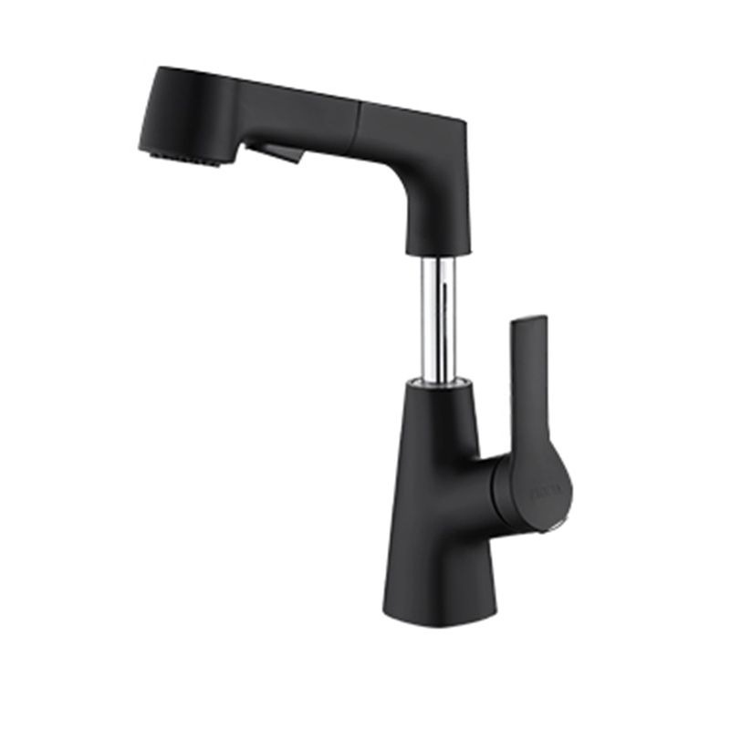 Swivel Spout Sink Faucet Brass Bathroom Low Arc Mixer