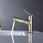 Contemporary Single Handle Faucet Retractable Sink Faucet with Lever Handle