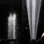 Contemporary Shower Head Round Handheld Shower Head Combination in Black