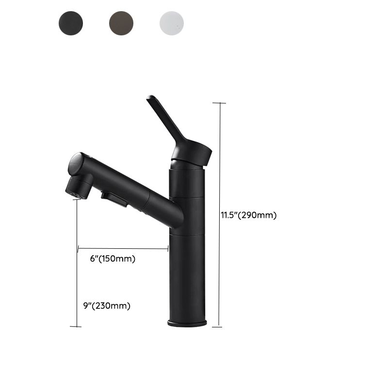 Bathroom Vessel Faucet Swivel Spout Single Handle Faucet with Pull-Out Spray Head