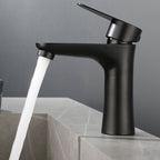 Faucet Hose Stainless Steel Single-Lever Basin Mixer
