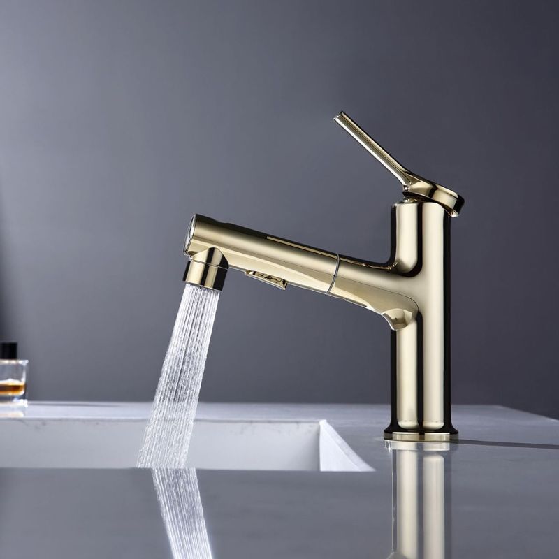 Modern Sink Faucet Copper Single Handle Low Arc Pull-Out Sink Faucet