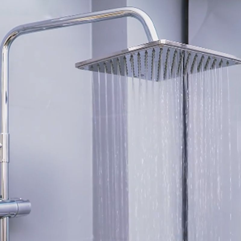 Contemporary Showerhead Combination Dual Showerhead Stainless Steel Wall-Mounted Showerhead