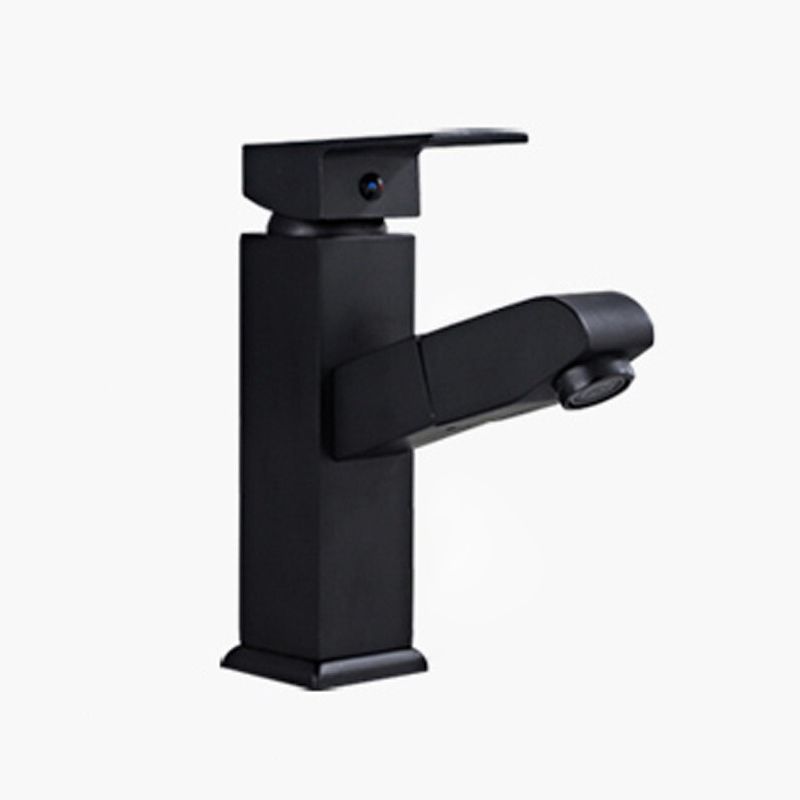 Contemporary Style Faucets Single Handle Swivel Spout Faucets