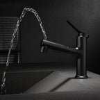 Modern Sink Faucet Copper Single Handle Low Arc Pull-Out Sink Faucet