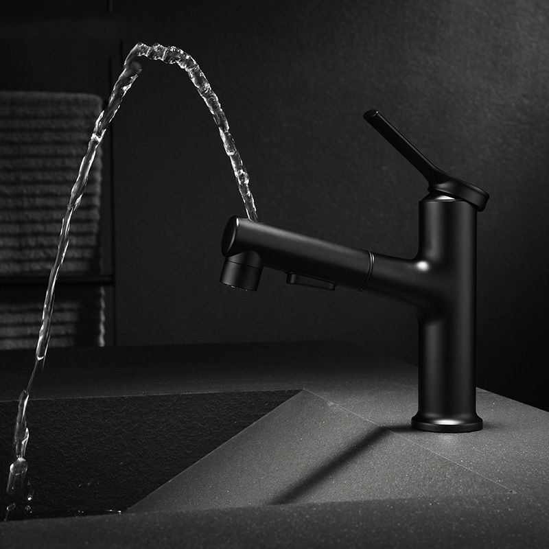 Modern Sink Faucet Copper Single Handle Low Arc Pull-Out Sink Faucet