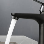 Round Vessel Faucet Lever Handle Stainless Steel Bathroom Faucet with Water Hose