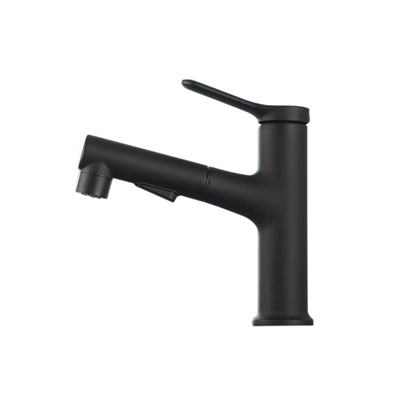 Vessel Sink Faucet Contemporary Pull-out Tap with Swivel Spout