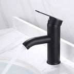 Modern Sink Faucet Stainless Steel Basin Vanity Faucet for Bathroom