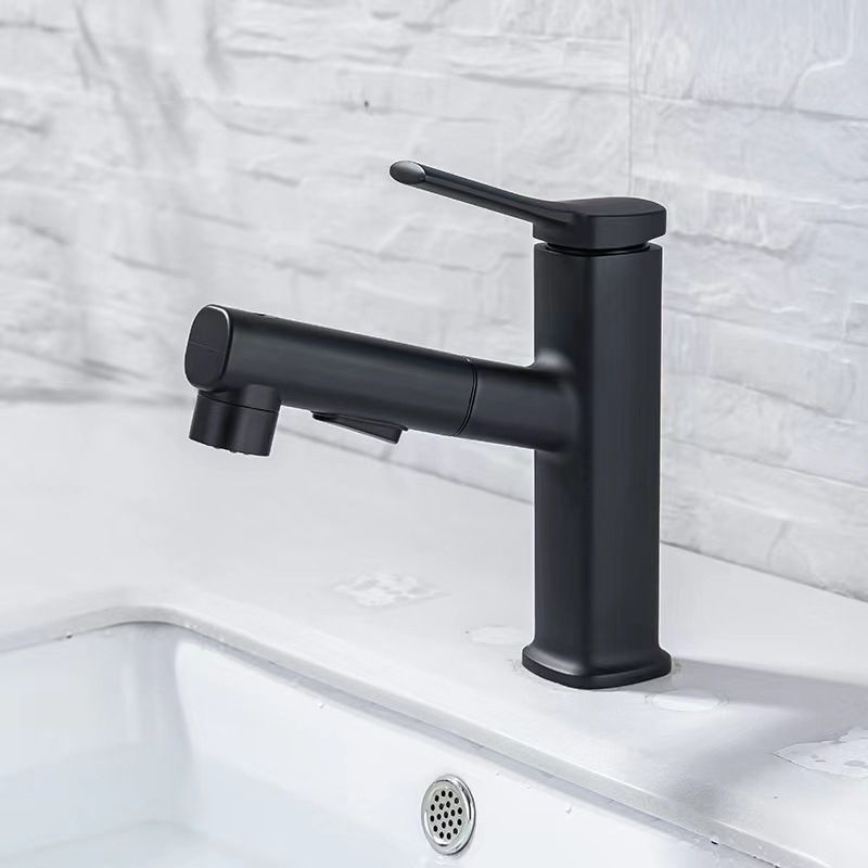 Contemporary Vessel-Faucet Pull-out Centerset Faucet with Swiveling Spout