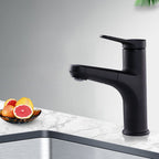 Contemporary Basin Faucet Copper Pure Color Single Lever Retractable Basin Faucet