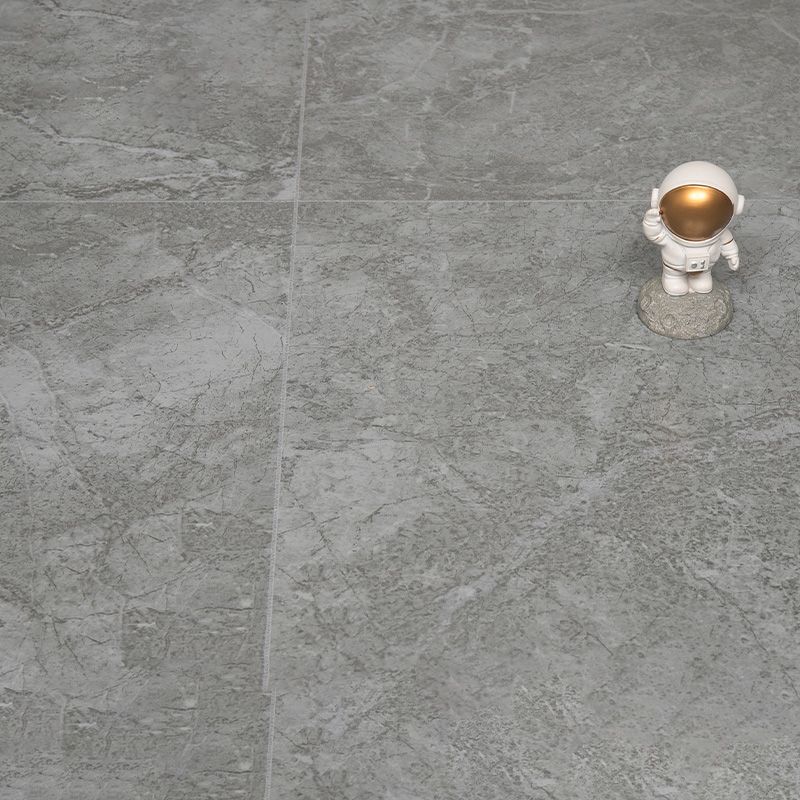 Indoor Flooring Peel and Stick Coiled PVC 200cm Waterproof Vinyl Flooring
