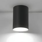 Ceiling Light Modern Aluminum LED Downlight