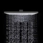 Rectangular Gray Showerhead Combo Standard Spray Pattern Showerhead