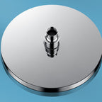 Metal Shower Head Combo Contemporary Round Fixed Shower Head for the Bathroom