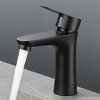 Round Vessel Faucet Lever Handle Stainless Steel Bathroom Faucet with Water Hose
