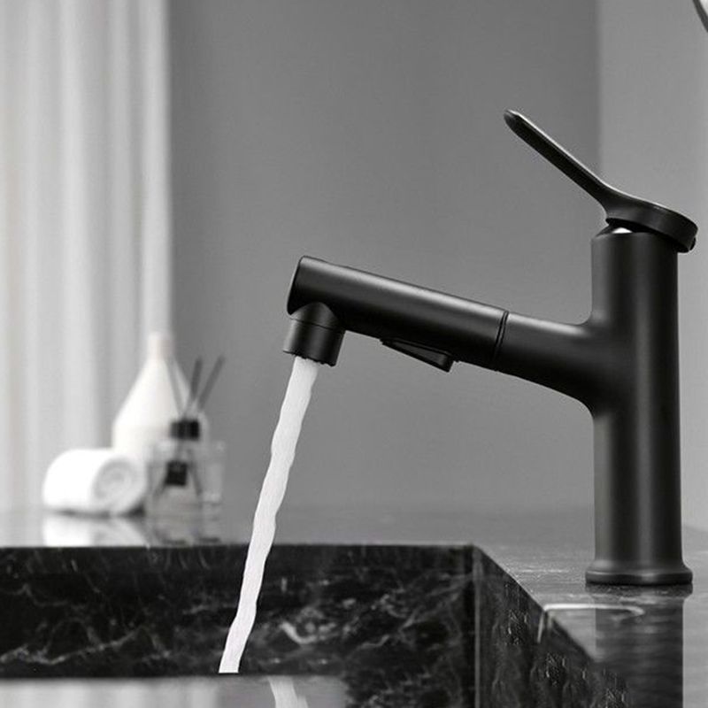 Contemporary Style Faucet Single Lever Mixer with Swivel Spout
