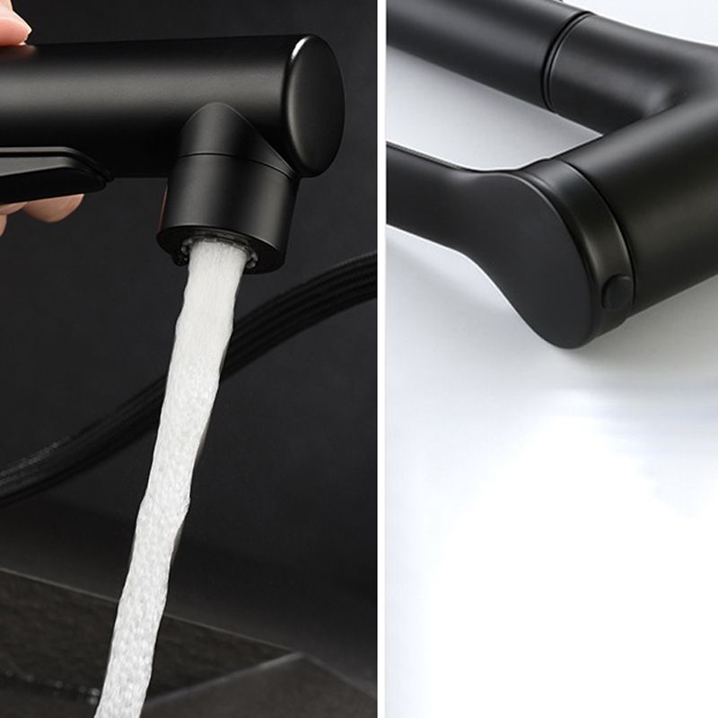 Modern Sink Faucet Copper Single Handle Low Arc Pull-Out Sink Faucet