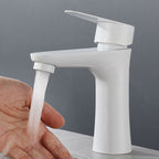 Faucet Hose Stainless Steel Single-Lever Basin Mixer