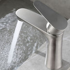 Round Vessel Faucet Lever Handle Stainless Steel Bathroom Faucet with Water Hose