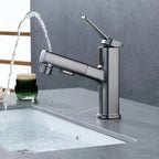 Contemporary Vessel-Faucet Pull-out Centerset Faucet with Swiveling Spout