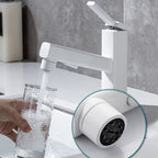 Lever Handle Faucet Pull-Out Basin Faucet with Swivel Spout