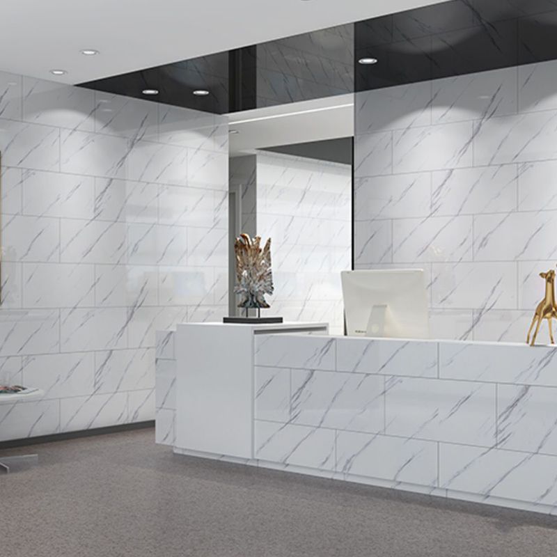 PVC Wall Panel Rectangle Waterproof Wall Cladding for the Living Room