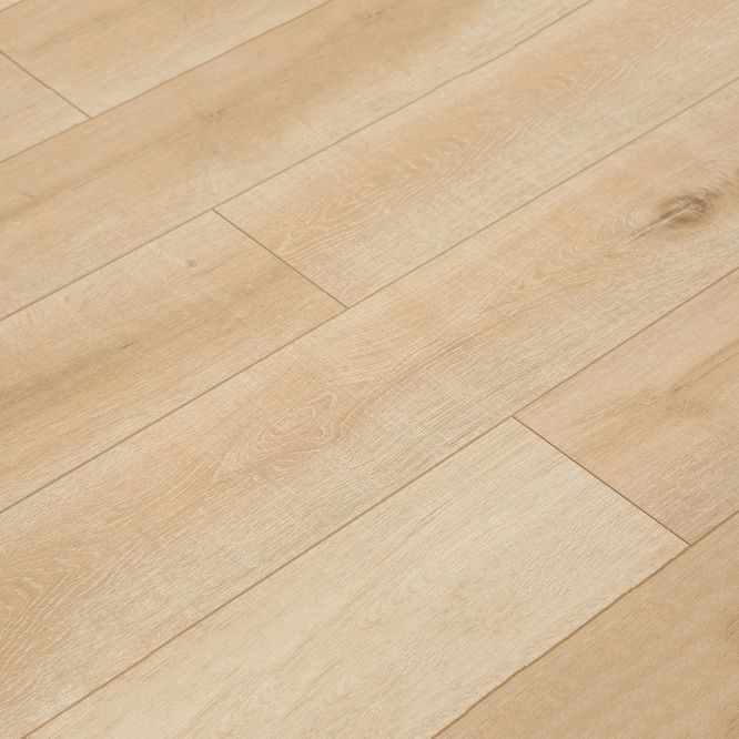 Contemporary Laminate Flooring Light Color Wood Laminate Flooring