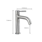 Stainless Steel Bathroom Faucet Chrome Lever Handle Sink Faucet with 1 Hole