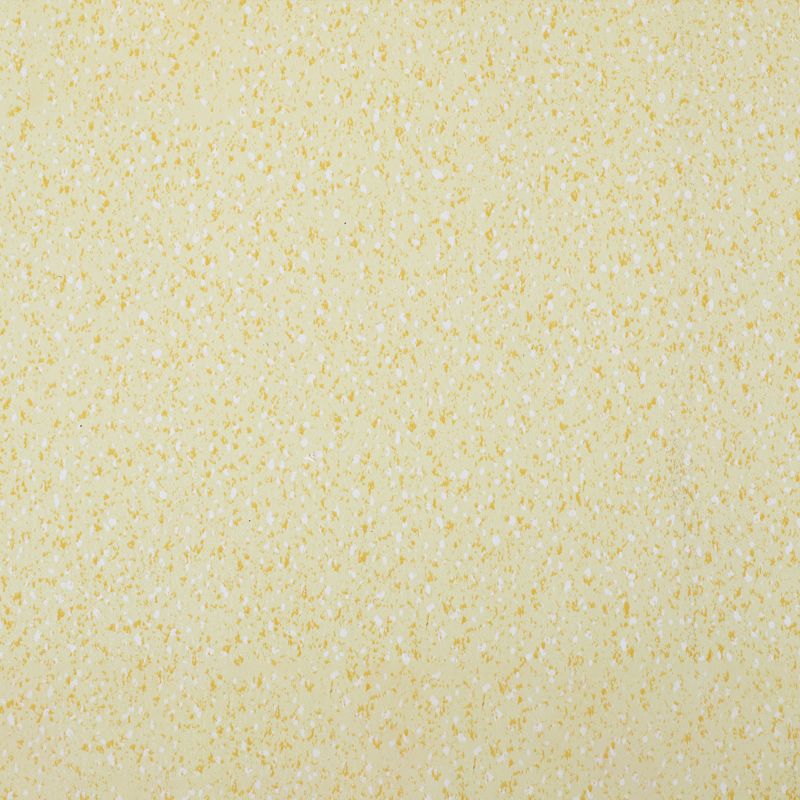Indoor Flooring Peel and Stick Coiled PVC 200cm Waterproof Vinyl Flooring