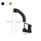 Modern Style Sink Faucet Copper Handle Low Arc Pull-Out Sink Faucet