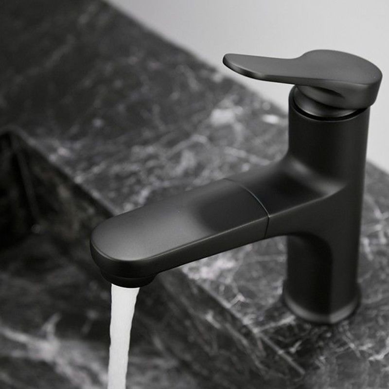 Contemporary Style Faucet Single Lever Mixer with Swivel Spout