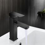 Modern Sink Faucet Centerset Bathroom Sink Faucet in Black