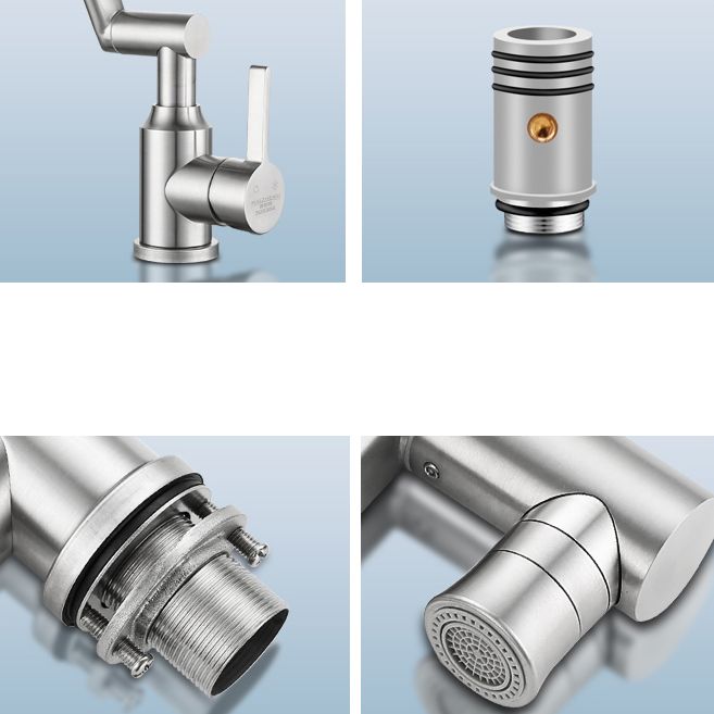 Swiveling Outlet Vessel Sink Faucet Stainless Steel Lever Handle Sink Faucet with Water Hose