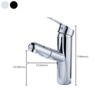 Contemporary Style Faucets Single Handle Swivel Spout Faucets