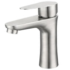 Faucet Hose Stainless Steel Single-Lever Basin Mixer