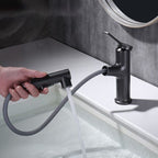 Contemporary Sink Faucet Plian Low Arc Center-Set Bathroom Faucet