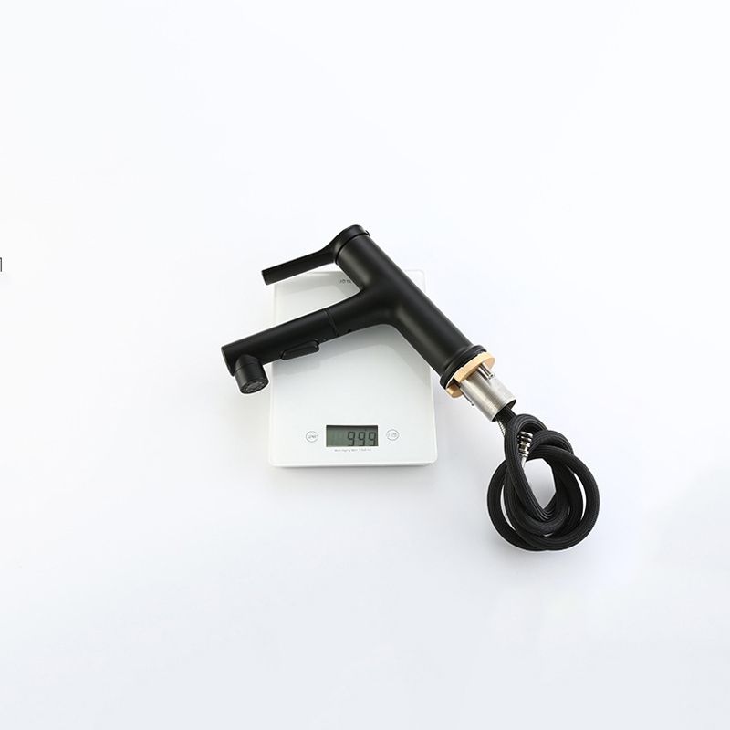 Modern Sink Faucet Copper Single Handle Low Arc Pull-Out Sink Faucet
