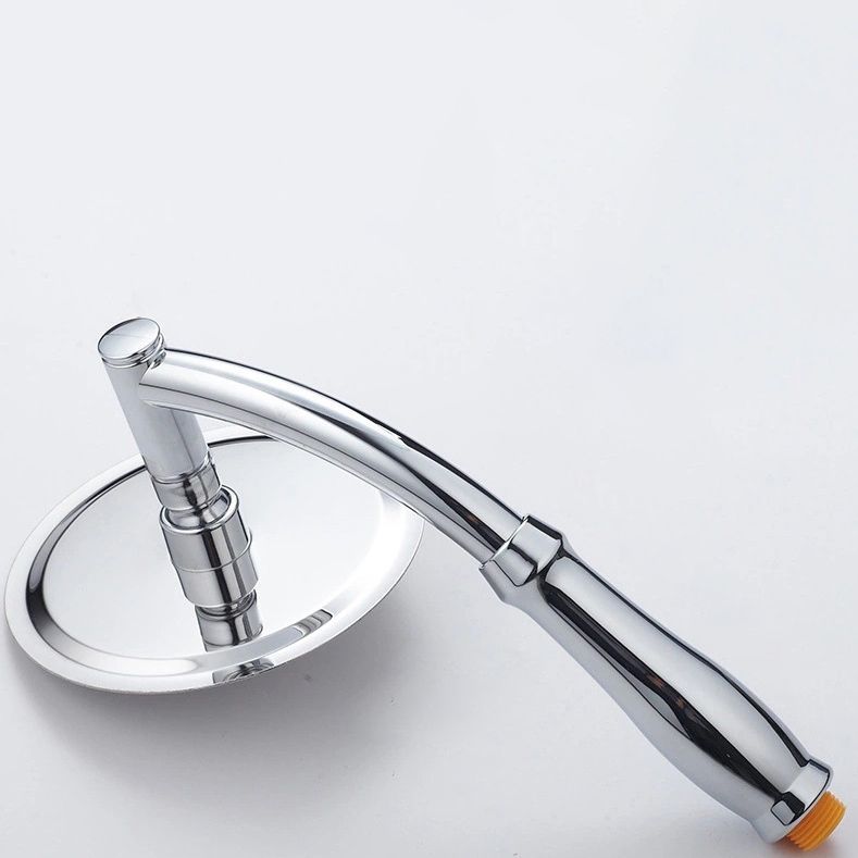 Hand shower standard spray wall supply holder handheld showerhead