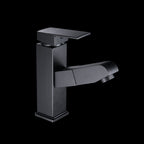 Contemporary Style Faucets Single Handle Swivel Spout Faucets