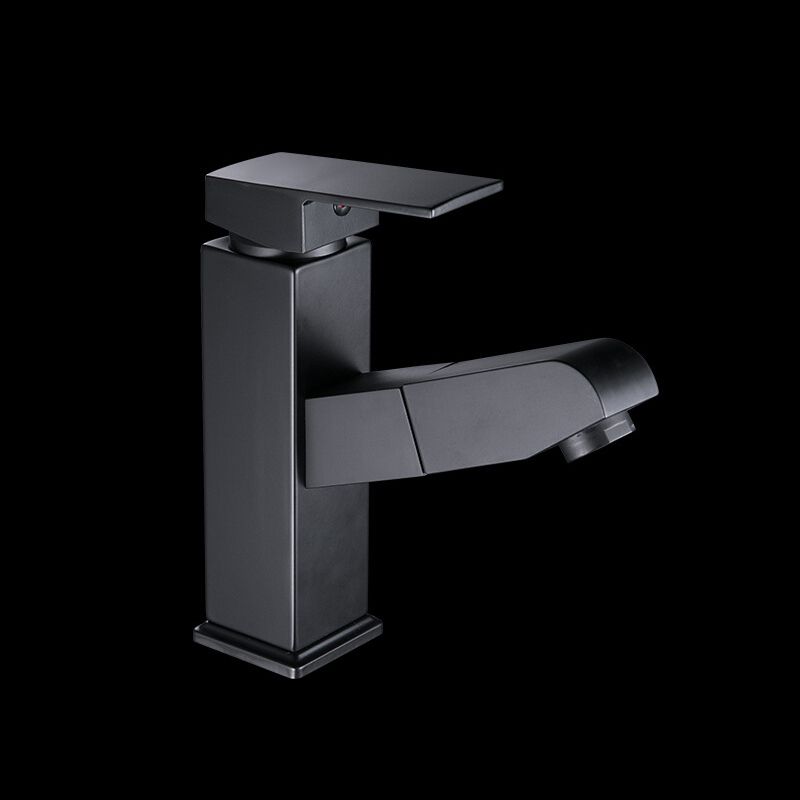 Contemporary Style Faucets Single Handle Swivel Spout Faucets
